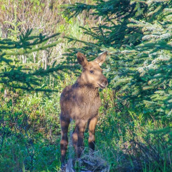 Hey from Across the Bay! ๐ - Picture 9 of 9